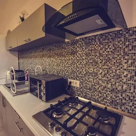 Refugiu Stilat In Centrul Vechi Apartment